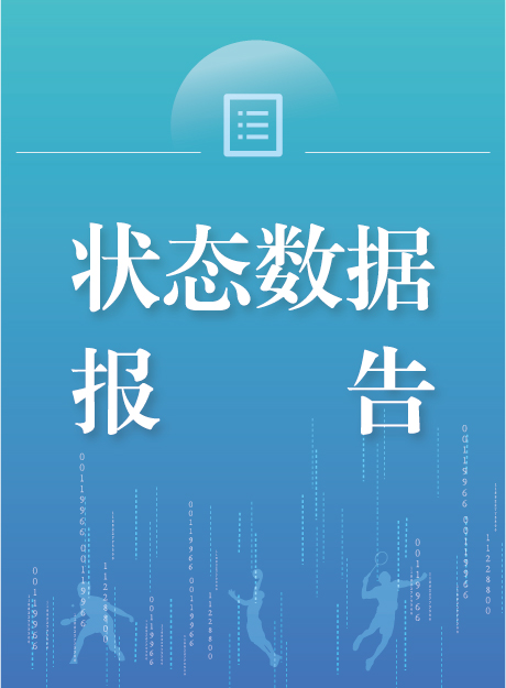 状态数据报告